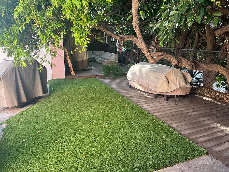 Backyard