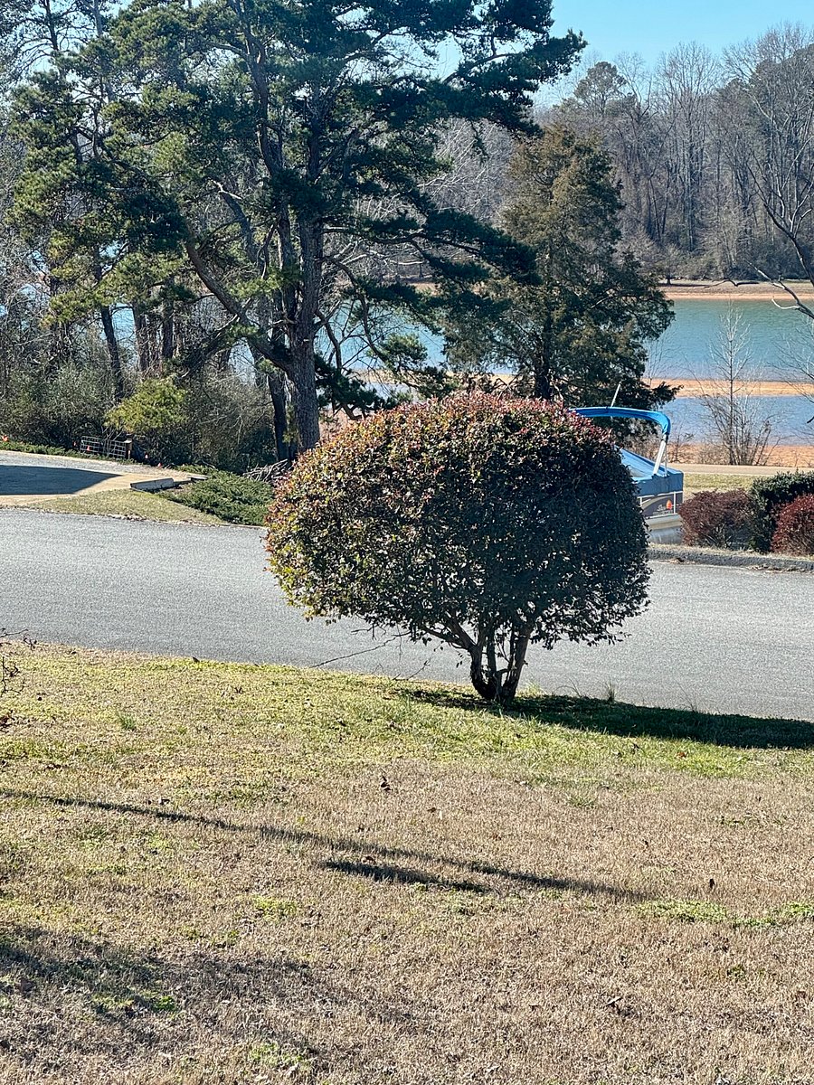 Winter lake views from the front yard - water is low during the winter season.