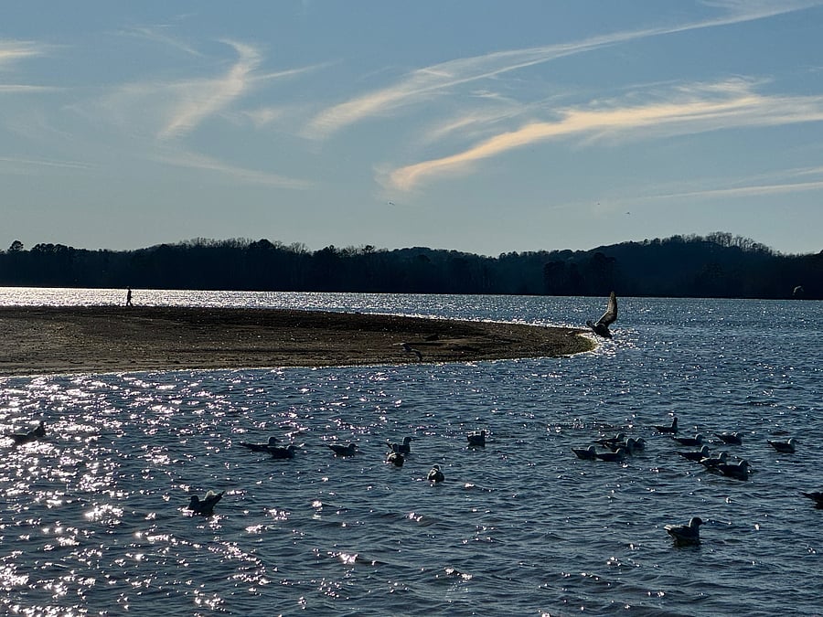 Day use area across the street. Enjoy a walk down to the lake or bring your kayak, paddleboard, or canoe along!