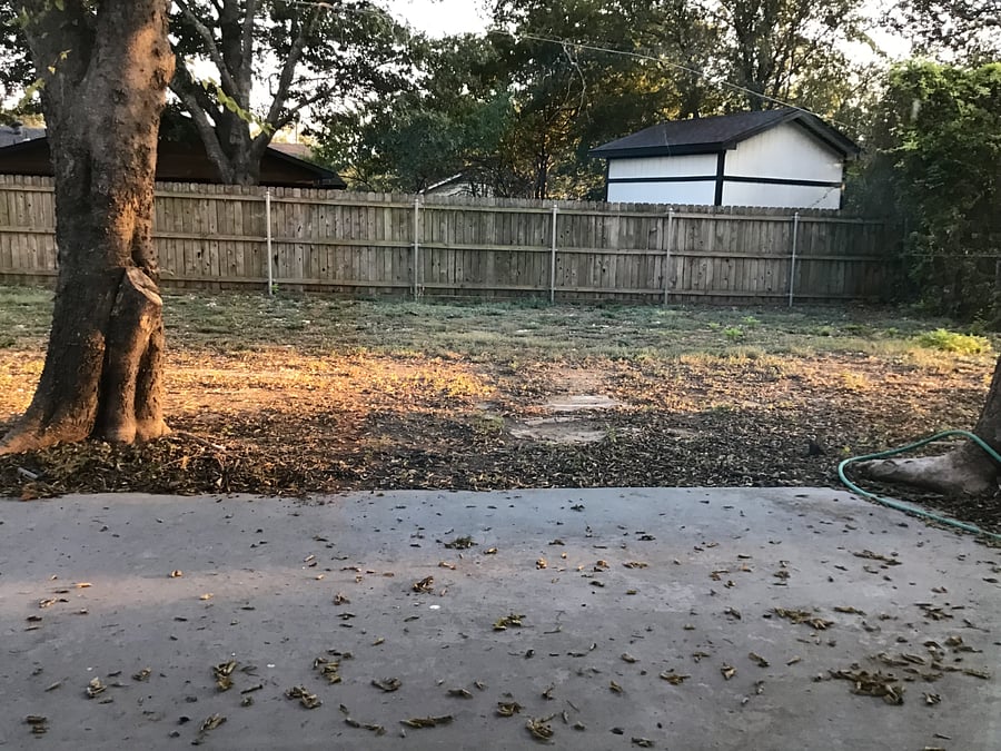 Back yard 