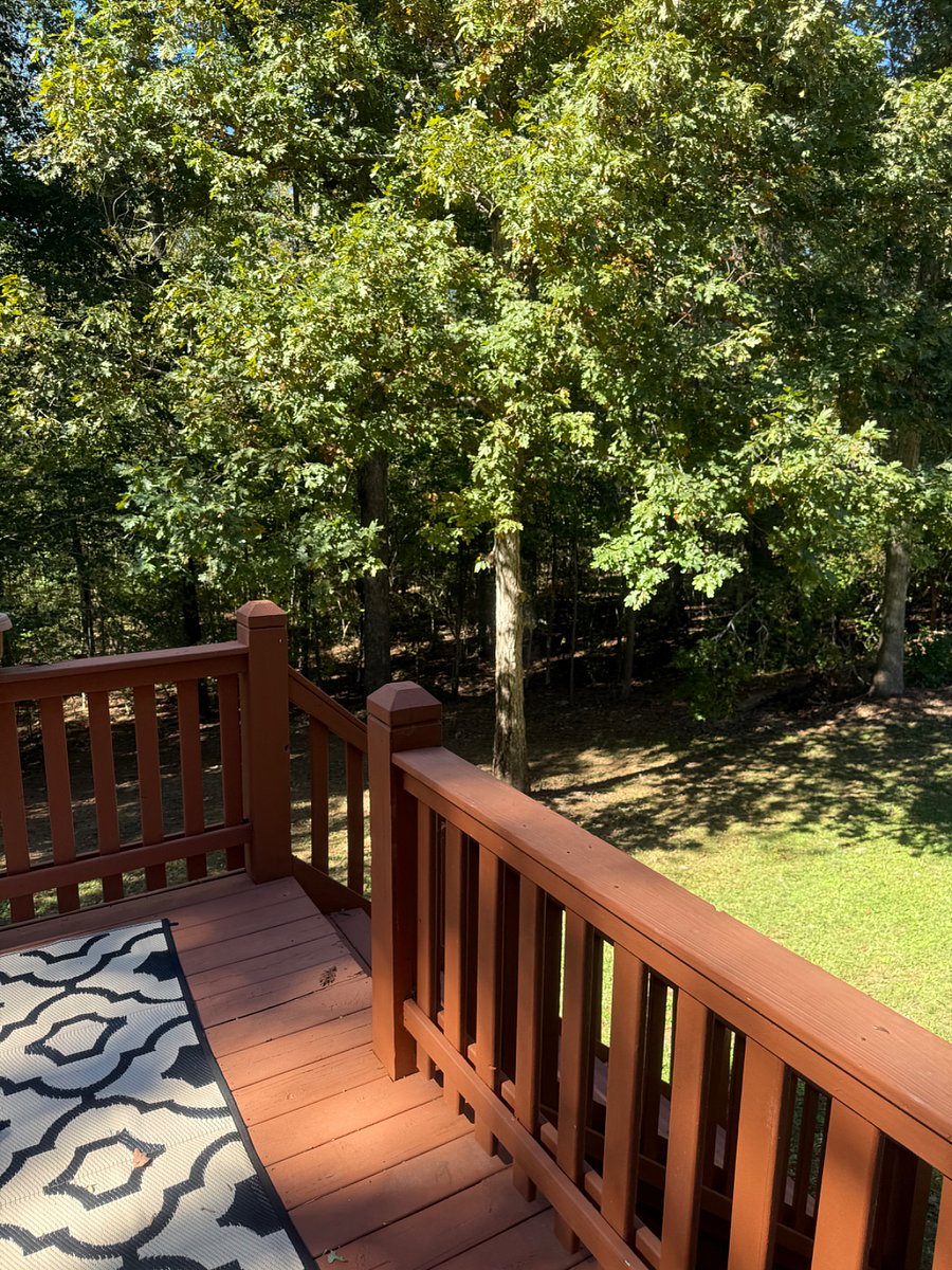 Furnished Finder property 919204_1 photo 10