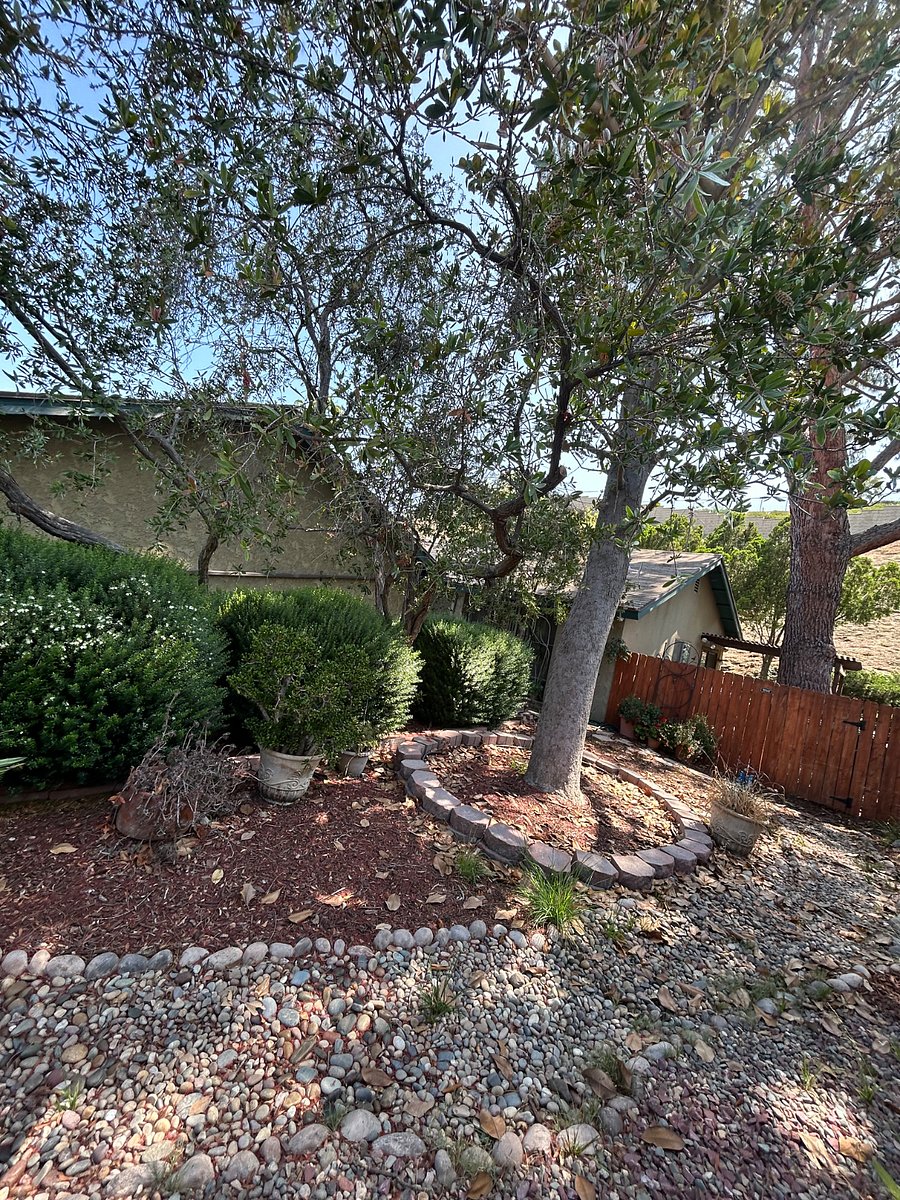 Furnished Finder property 919300_1 photo 12