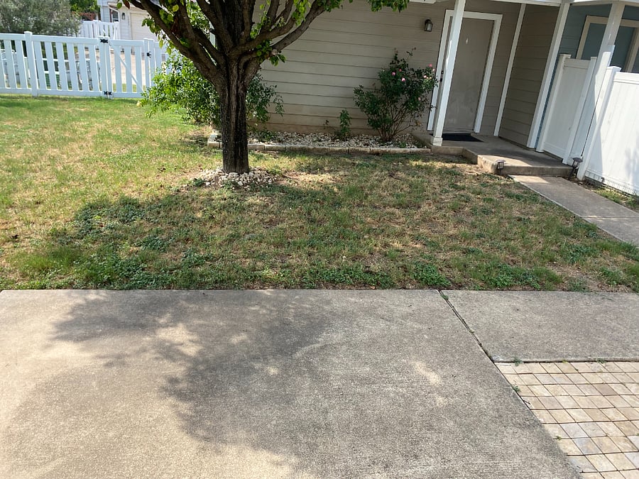 This is the backyard and looking at the garage, which is detached.