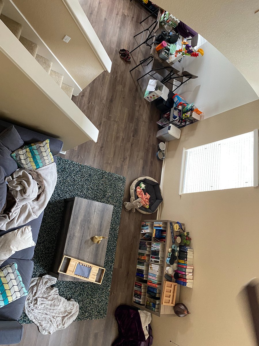 View of down stairs from my floor, though it has been reorganized recently, less dog stuff more plants