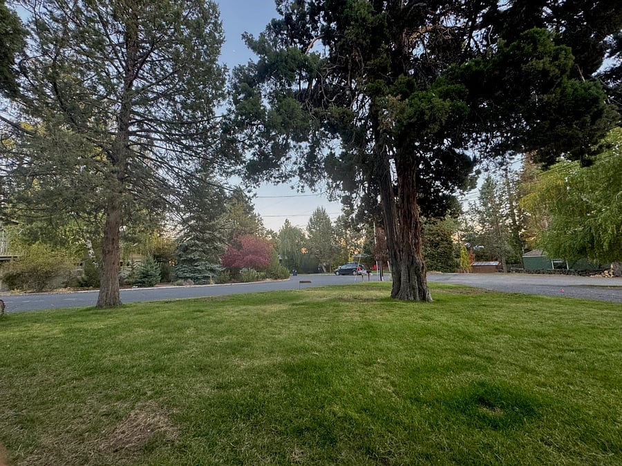 Front yard looking toward the corner.