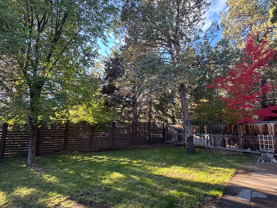 Partial view of the backyard as the fall colors arrive.
