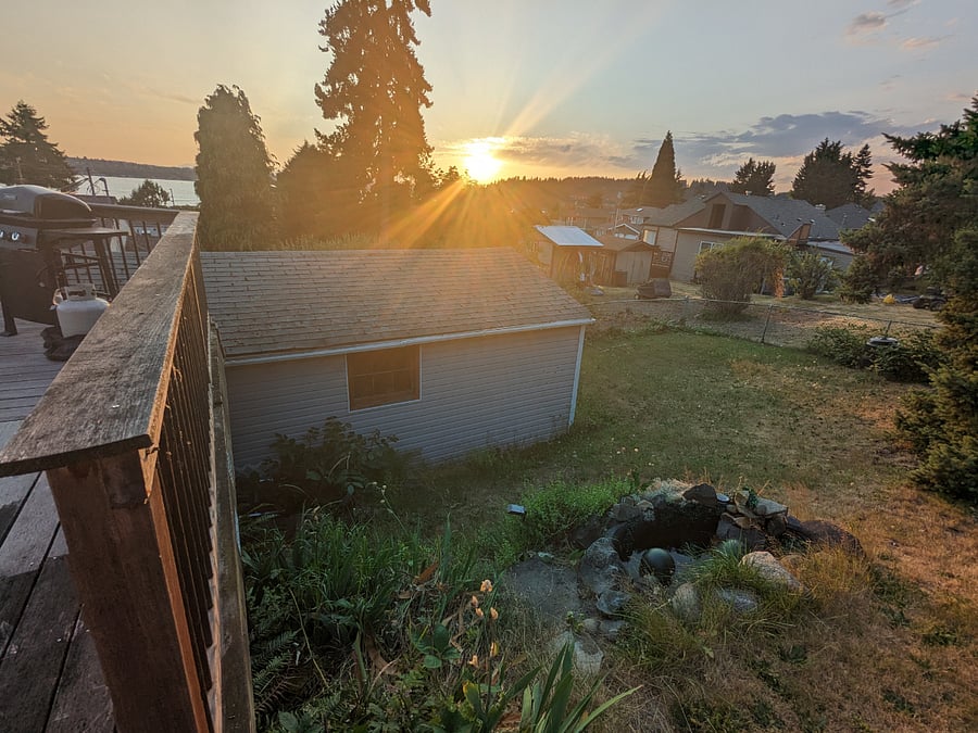 Back yard