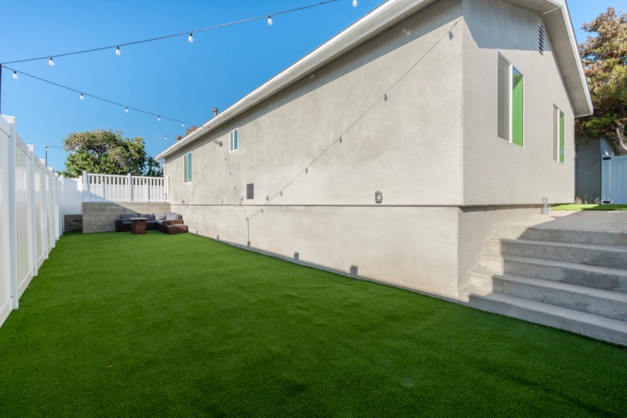 Yard behind back house.