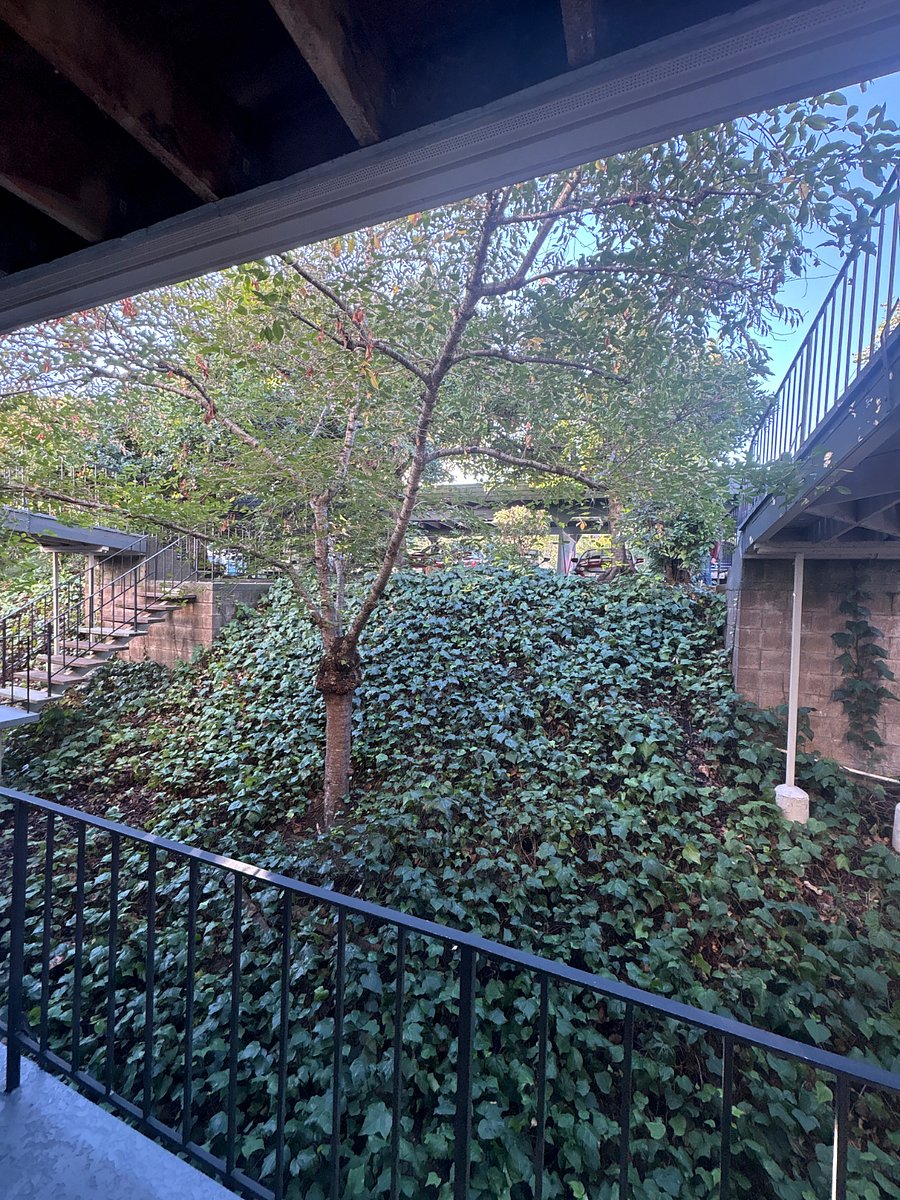 Furnished Finder property 920196_1 photo 4