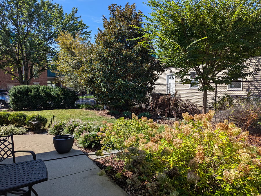 Patio