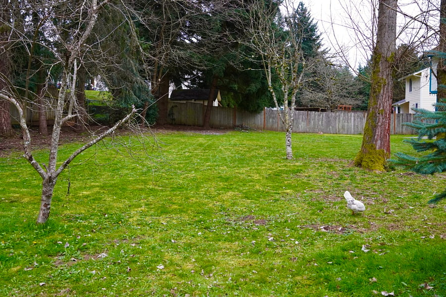 Furnished Finder property 920337_1 photo 6