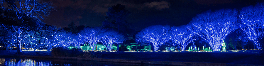 Norfolk Botanical Gardens of Lights