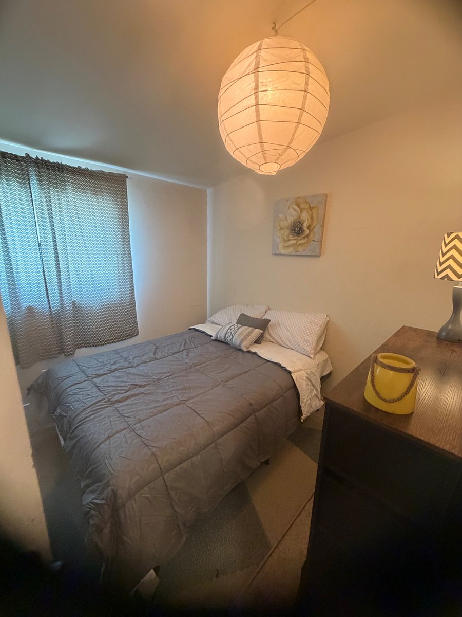 Furnished Finder property 920592_1 photo 21