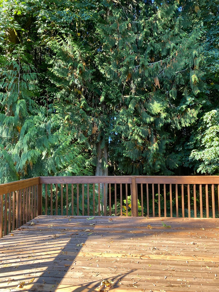 Furnished Finder property 920668_1 photo 6