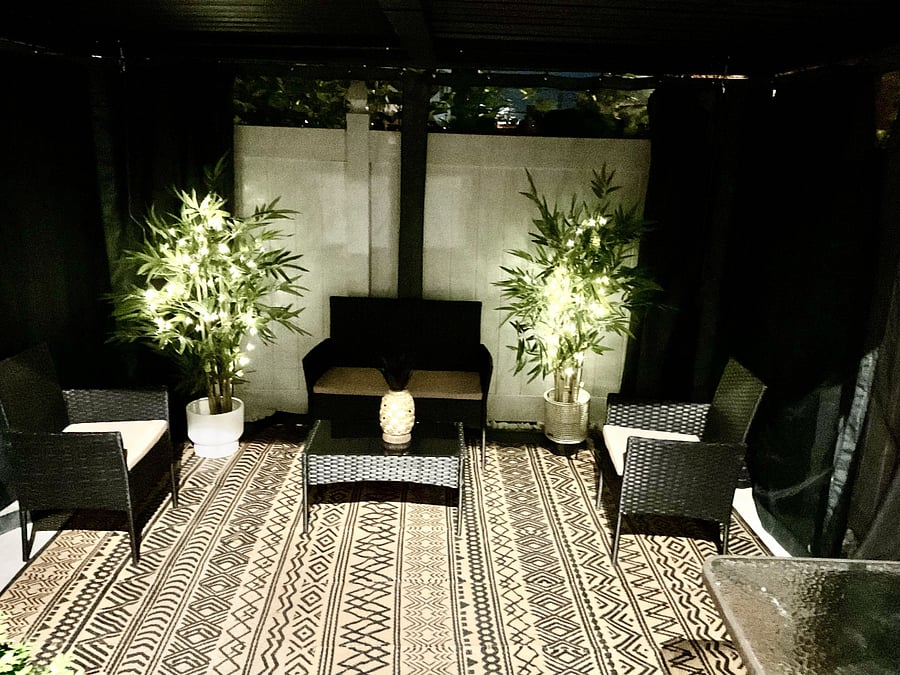 Back yard