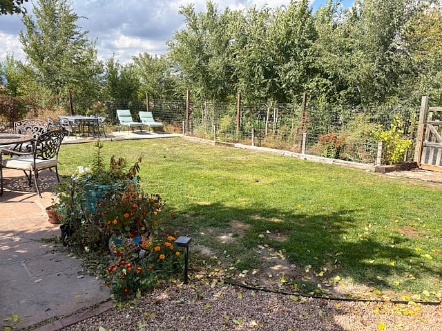 Fenced in yard