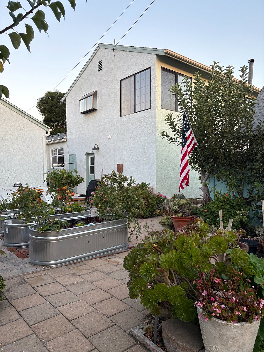 from backyard