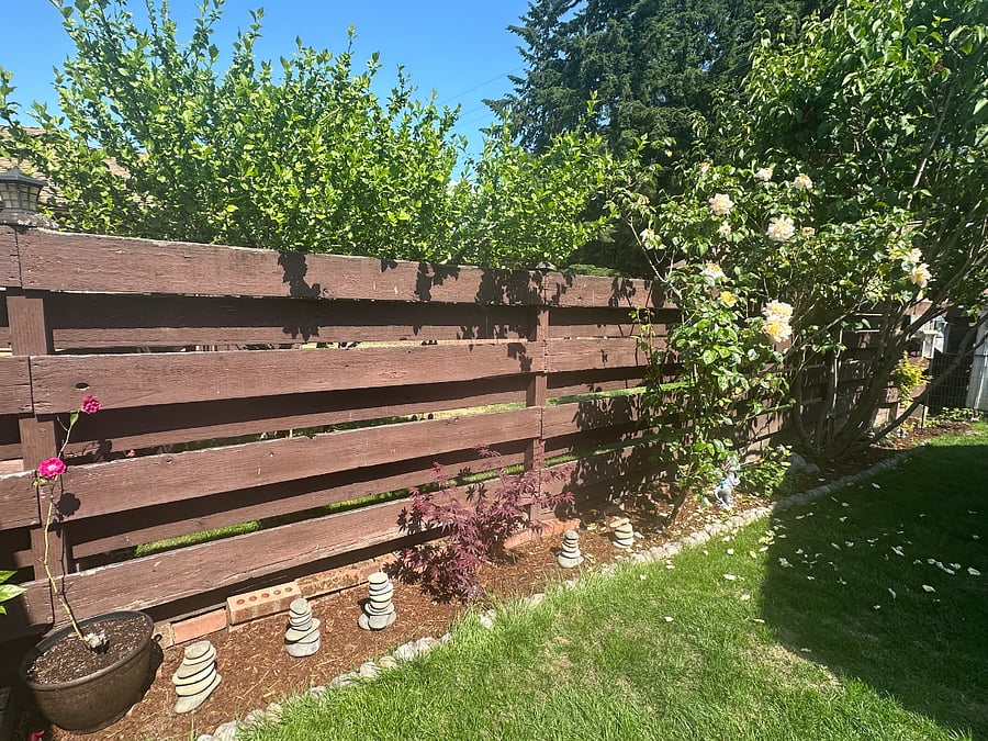 Side yard, very peaceful with tons of birds.