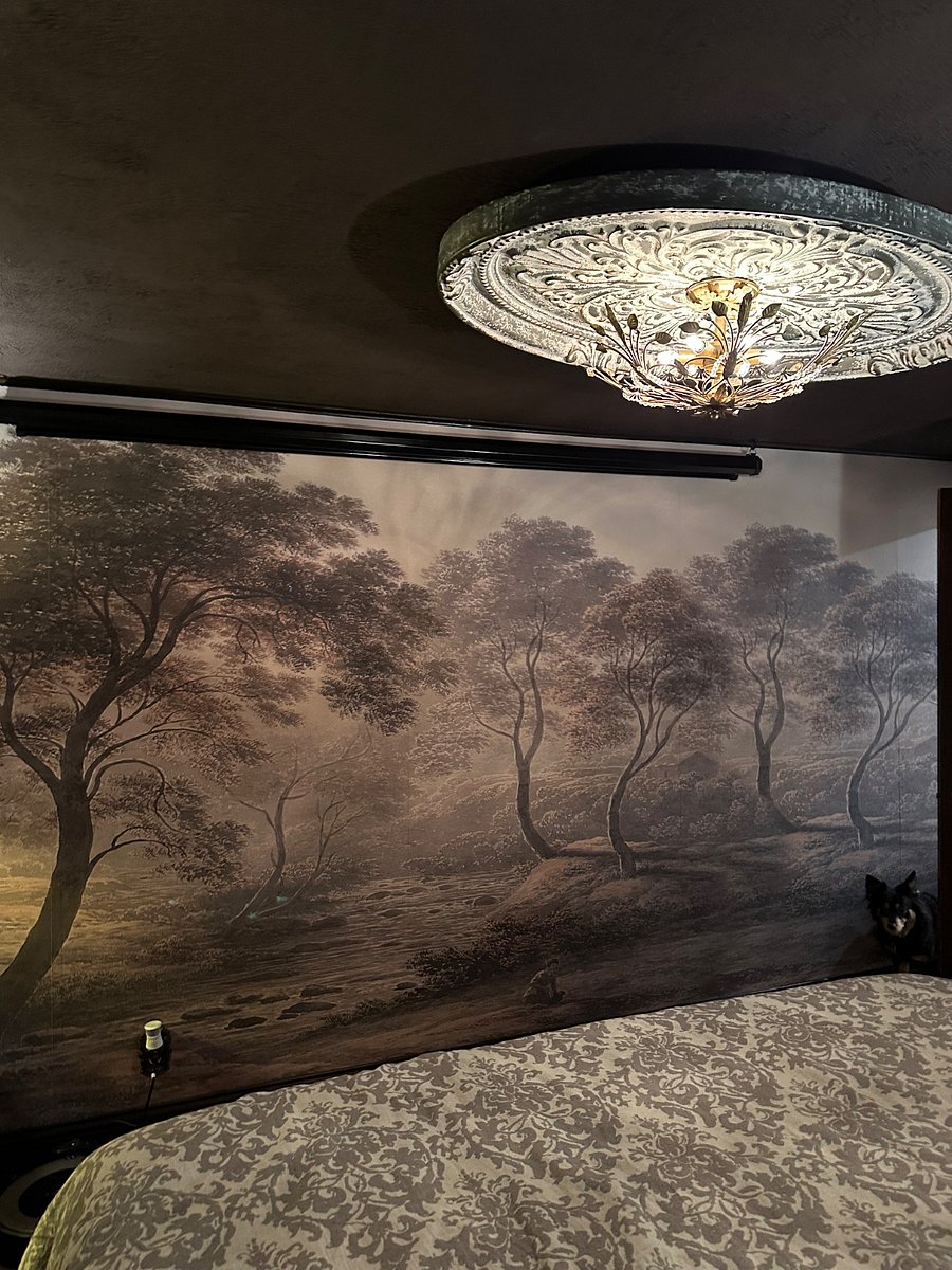 Master bedroom 12ft mural, projector screen drops down for cozy movie watching over the winter!