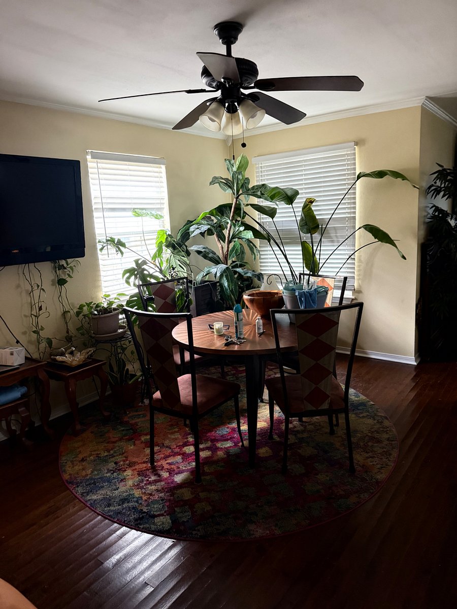 Furnished Finder property 921079_1 photo 3