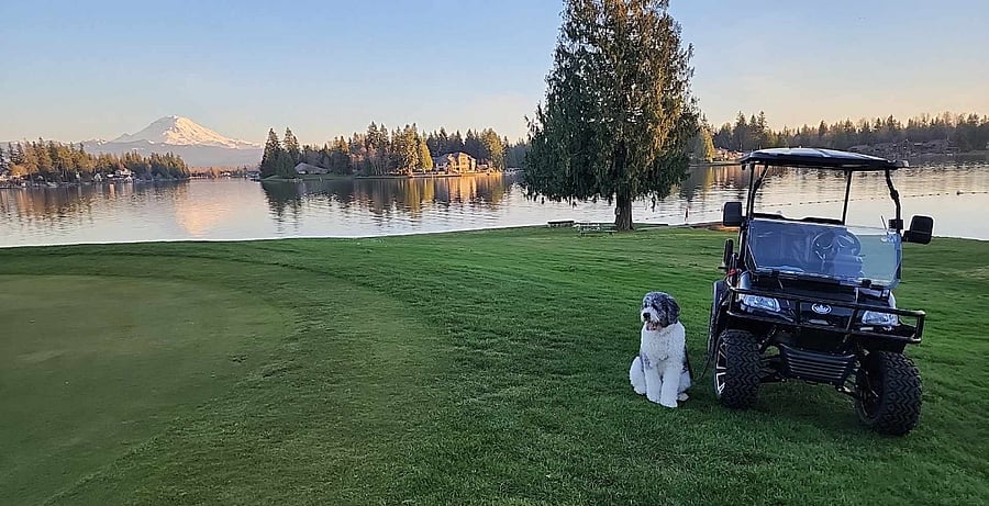 Potential golf cart use when not being utilized.