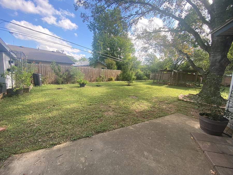 Backyard