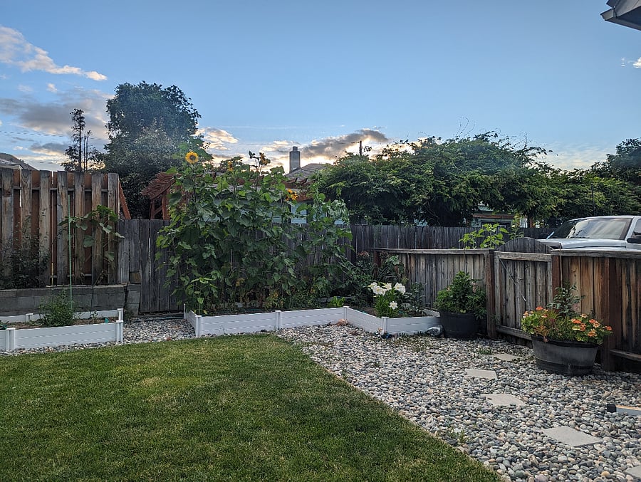 Back yard raised garden beds