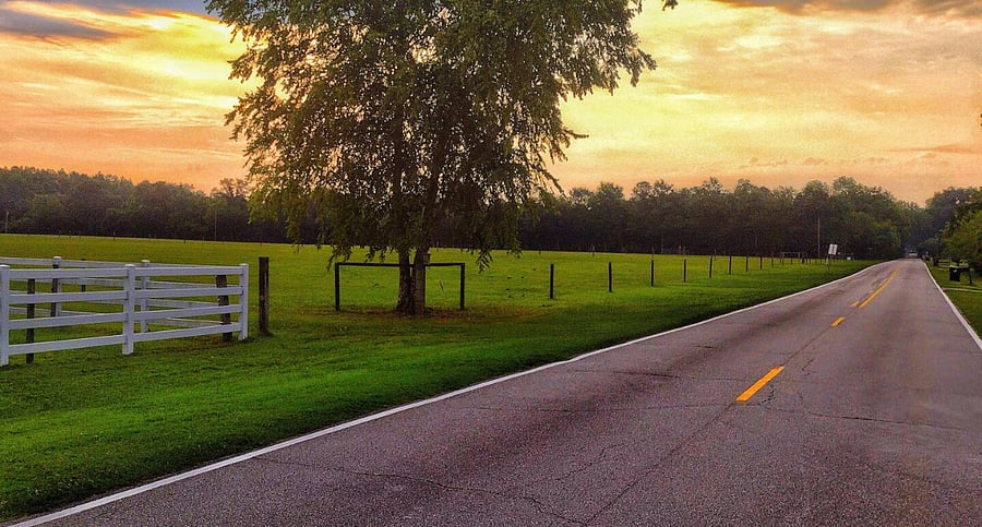Beautiful Marathon Avenue Neighborhood