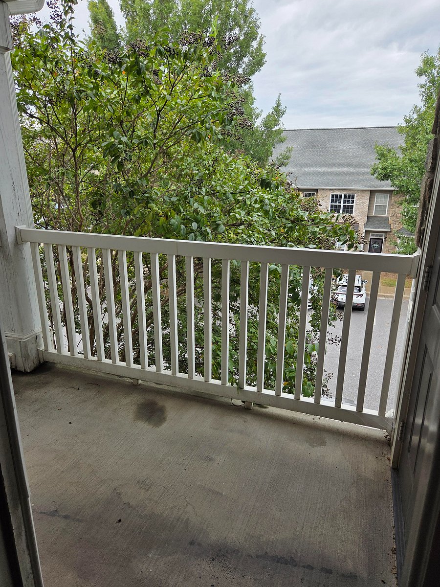 Furnished Finder property 921678_1 photo 14