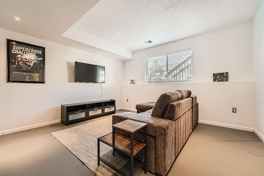 Basement Living Area