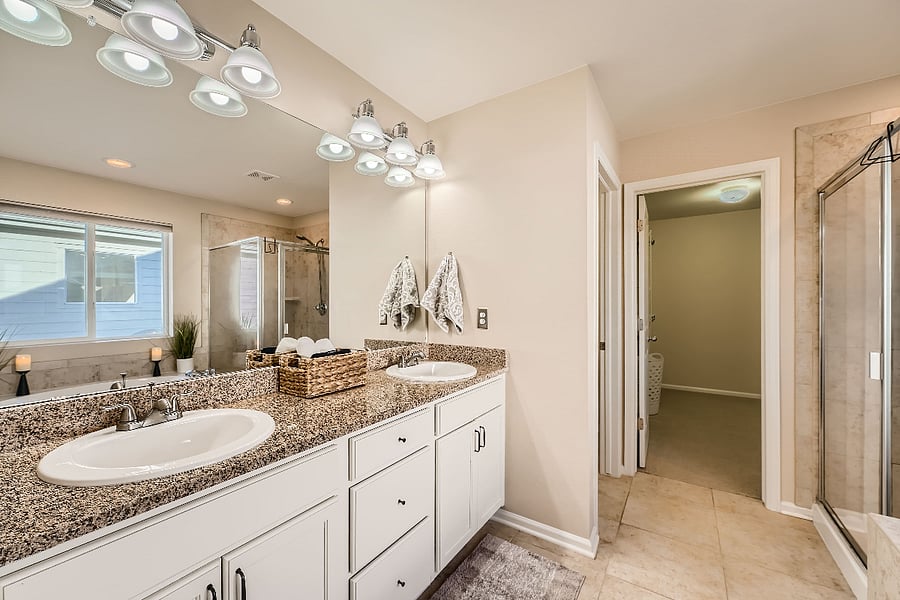 Master bath with double vanity