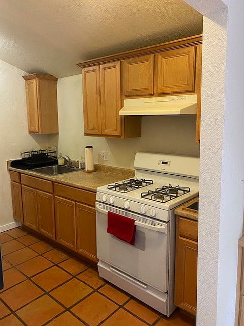 Full kitchen including sink, dish drainer, stove, etc.
