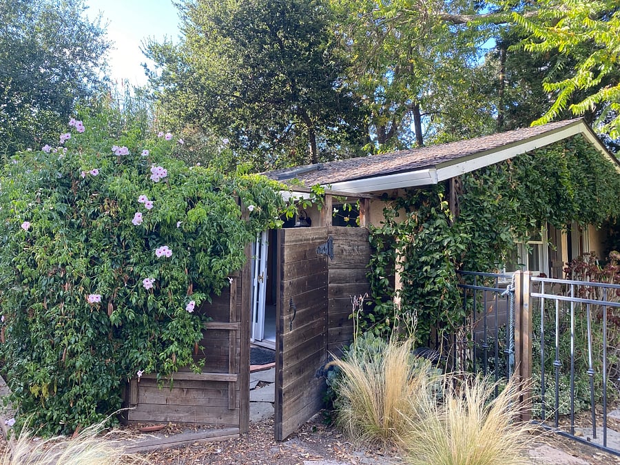 Your patio gate (view from the Landlord's backyard)