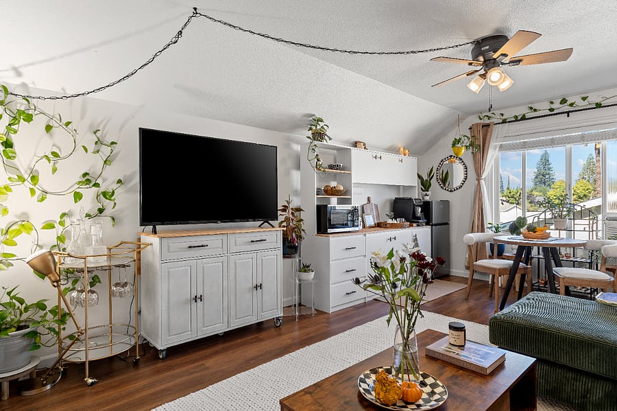 Private lounge room with 55 smart TV and kitchenette 