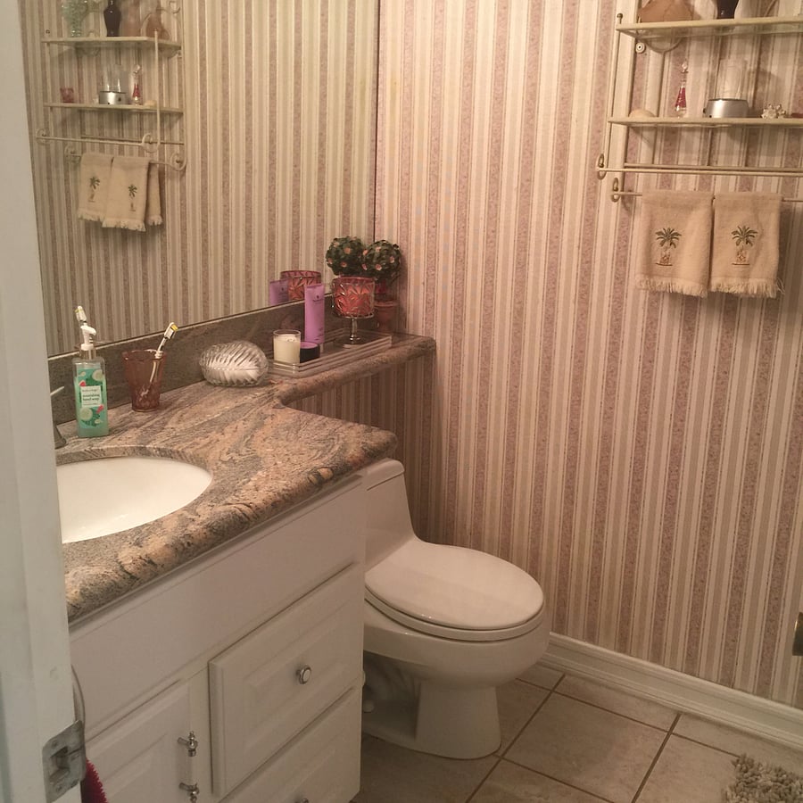 Guest Bath with shower