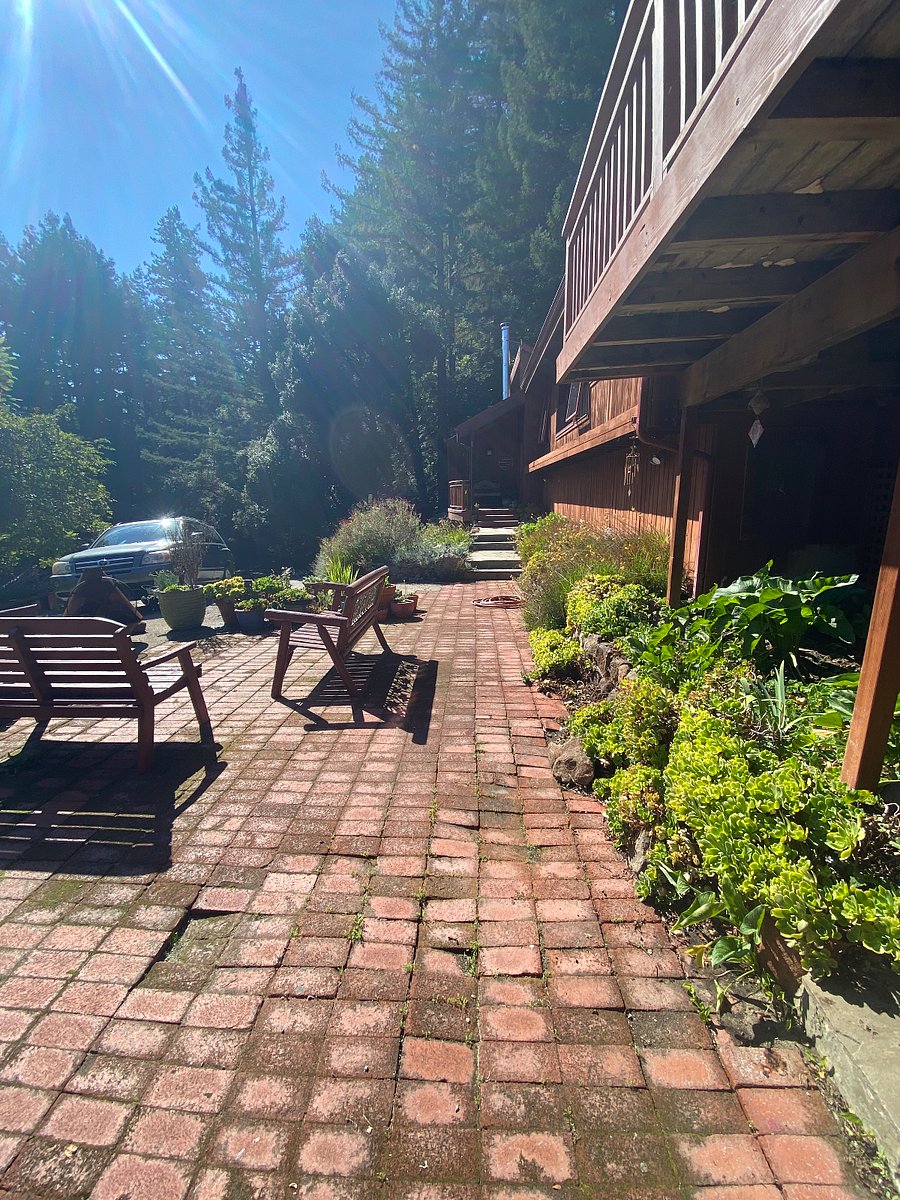 Front of house - shared patio space. 