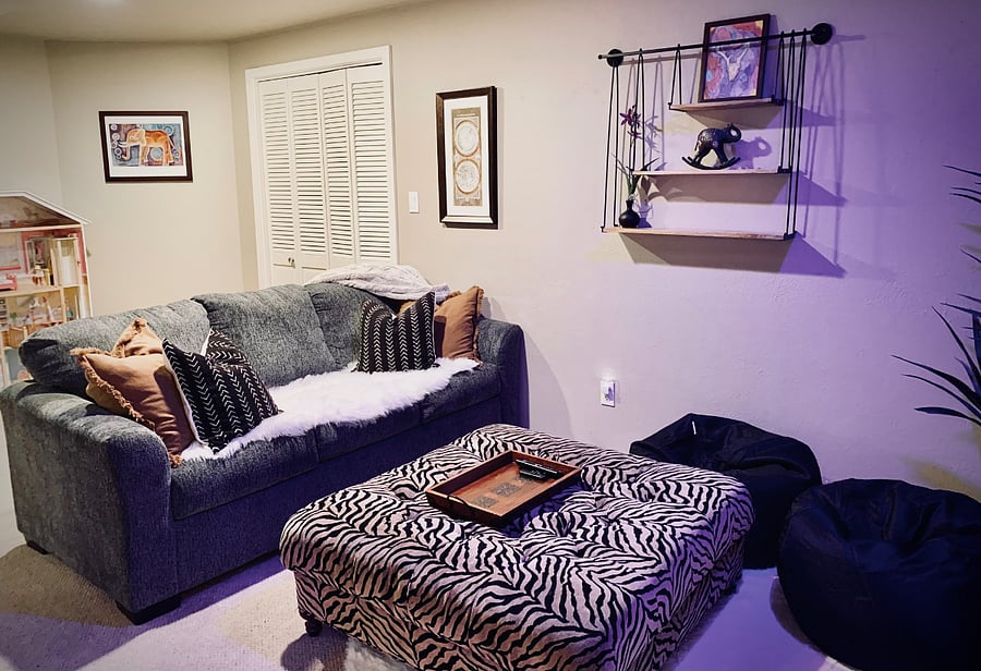 Basement TV Room