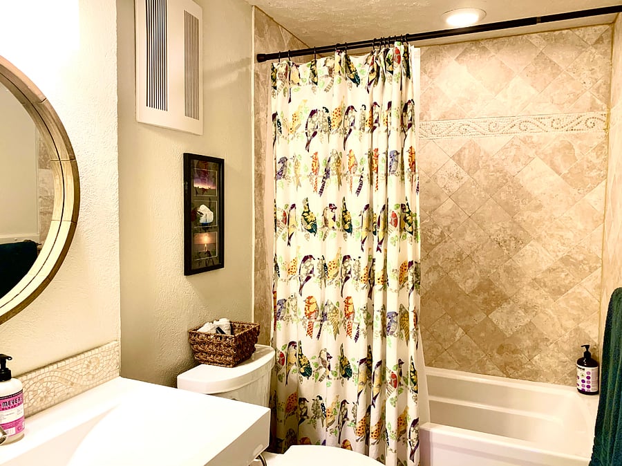 Basement Bathroom with Tub