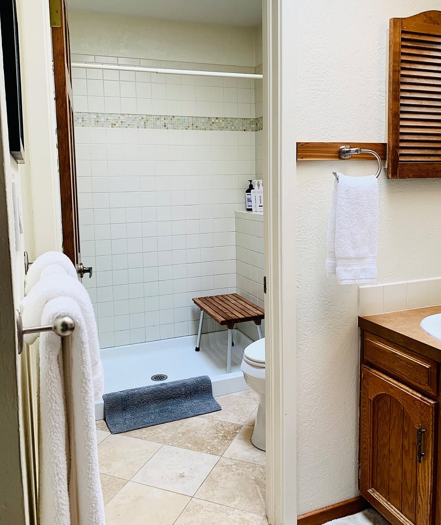 Master Bathroom Shower