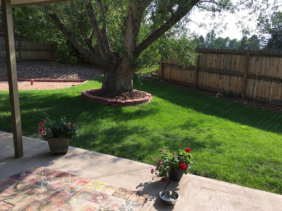 Furnished Finder property 922554_1 photo 9