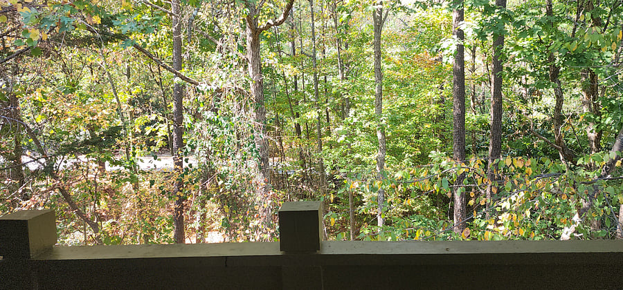 Balcony view
