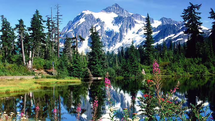 The glorious Mt Baker only 1.5 hrs away