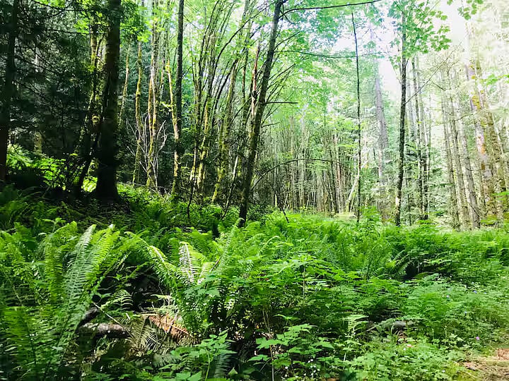 Nearby trails