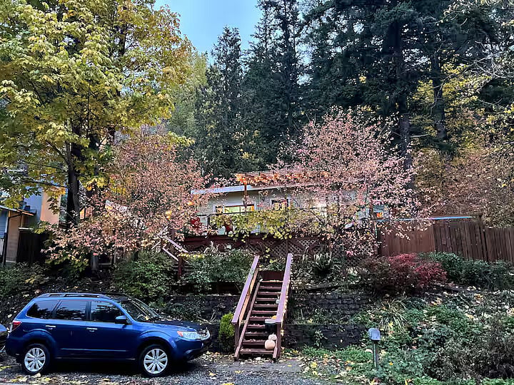 Steps leading up to the home, which gives it the treehouse-like ambience