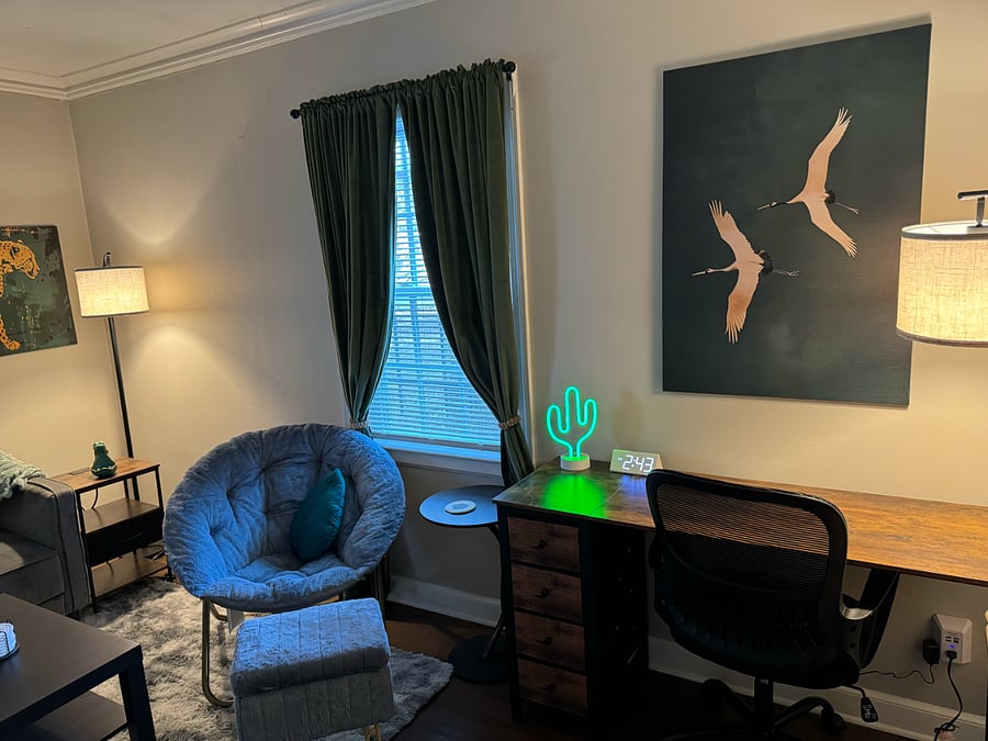 Living room features plenty of seating: a fold-out futon and saucer chair with foot stool; as well as a desk with ample work space and rolling desk chair.