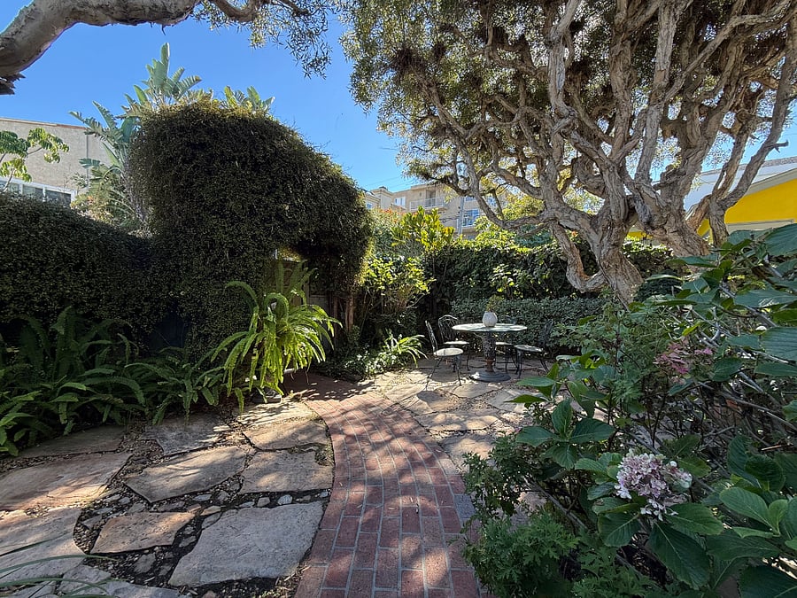 Outdoor shared garden.  There are two units at this property.  The shared garden is shared between the two units