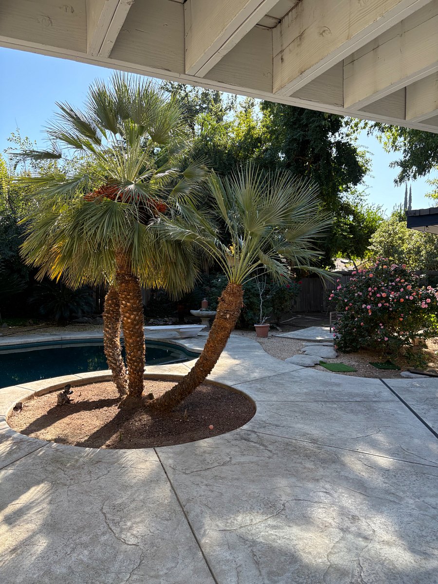 Furnished Finder property 923094_1 photo 4