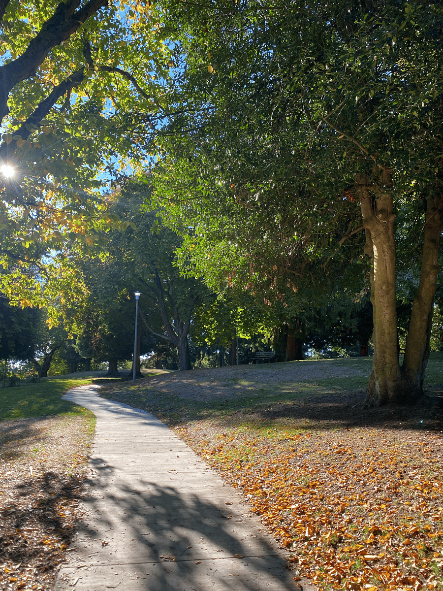 Park across the street