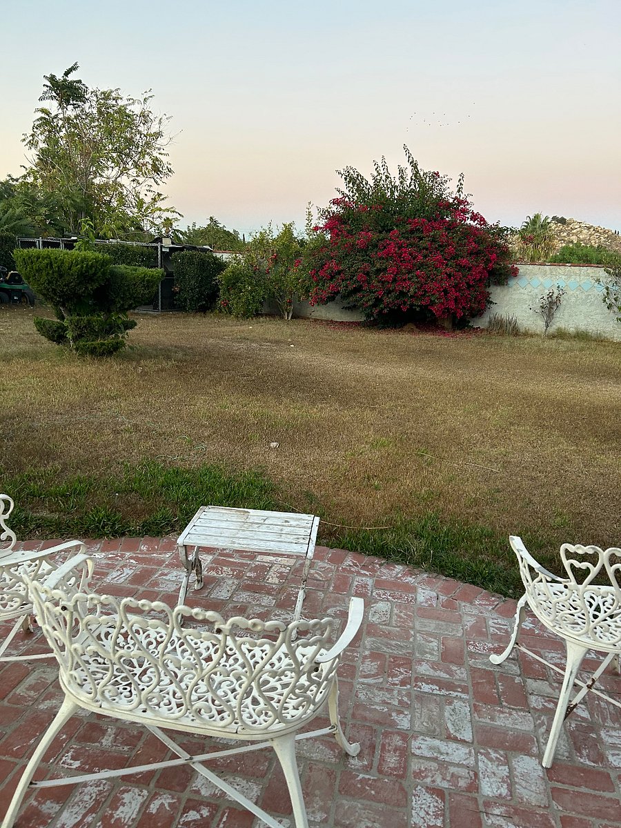Furnished Finder property 923114_1 photo 11
