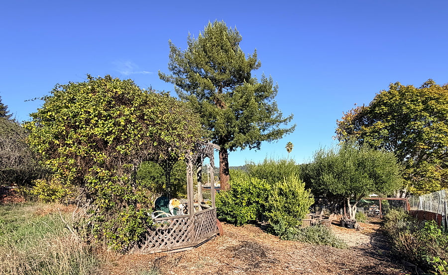 View from top of property looking down On gazebo and upper yard fire pit patio area.